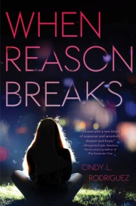 When_Reason_Breaks